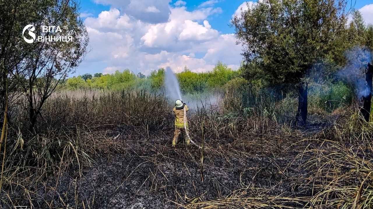 Через недопалок зайнялася пшениця на Вінниччині — вогонь встигли зупинити