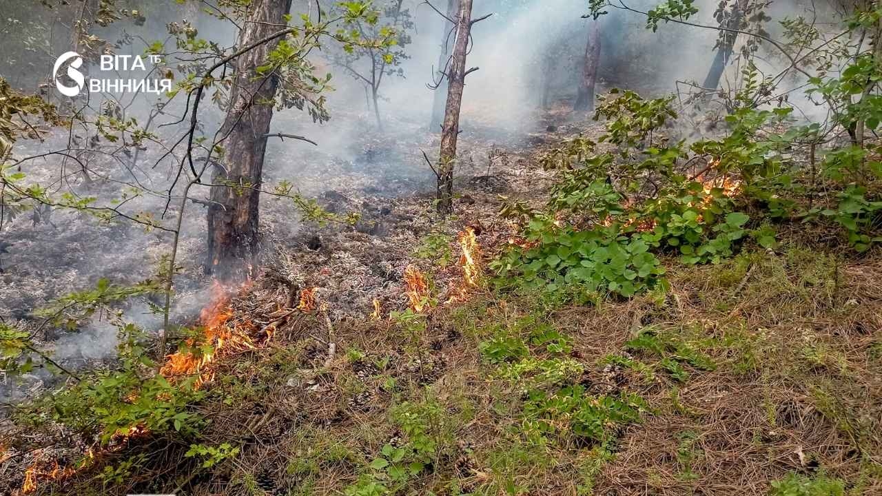 Через розгерметизацію газової системи згорів автомобіль у Якушинецькій громаді