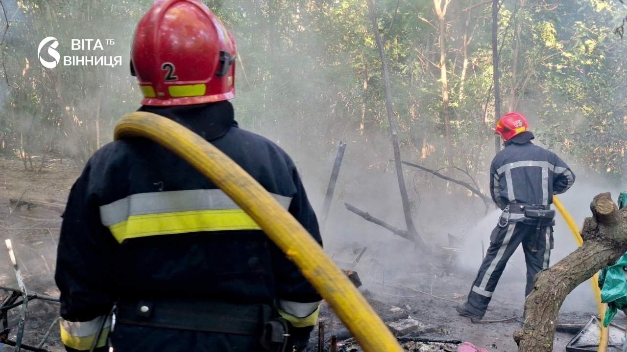 Чотири собаки травмовані, одна загинула: у Вінниці горіли укриття, які облаштували для тварин небайдужі містяни