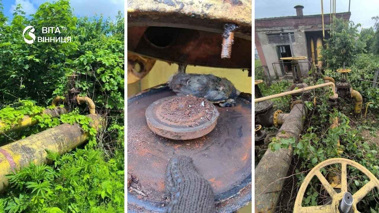 Десятки мільйонів гривень потрібно на ремонт газових мереж двох районів на Вінниччині