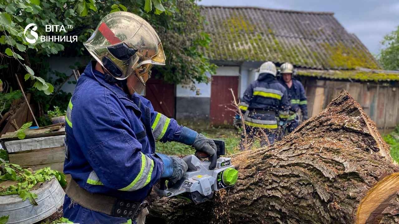 Двічі у Вінниці дерева падали на автомобілі — обійшлося без постраждалих