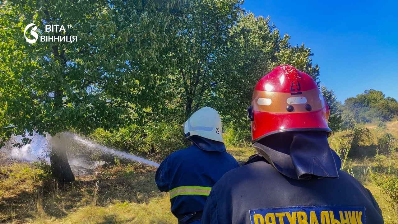 Дитячі пустощі спричинили пожежу сухої трави на Вінниччині
