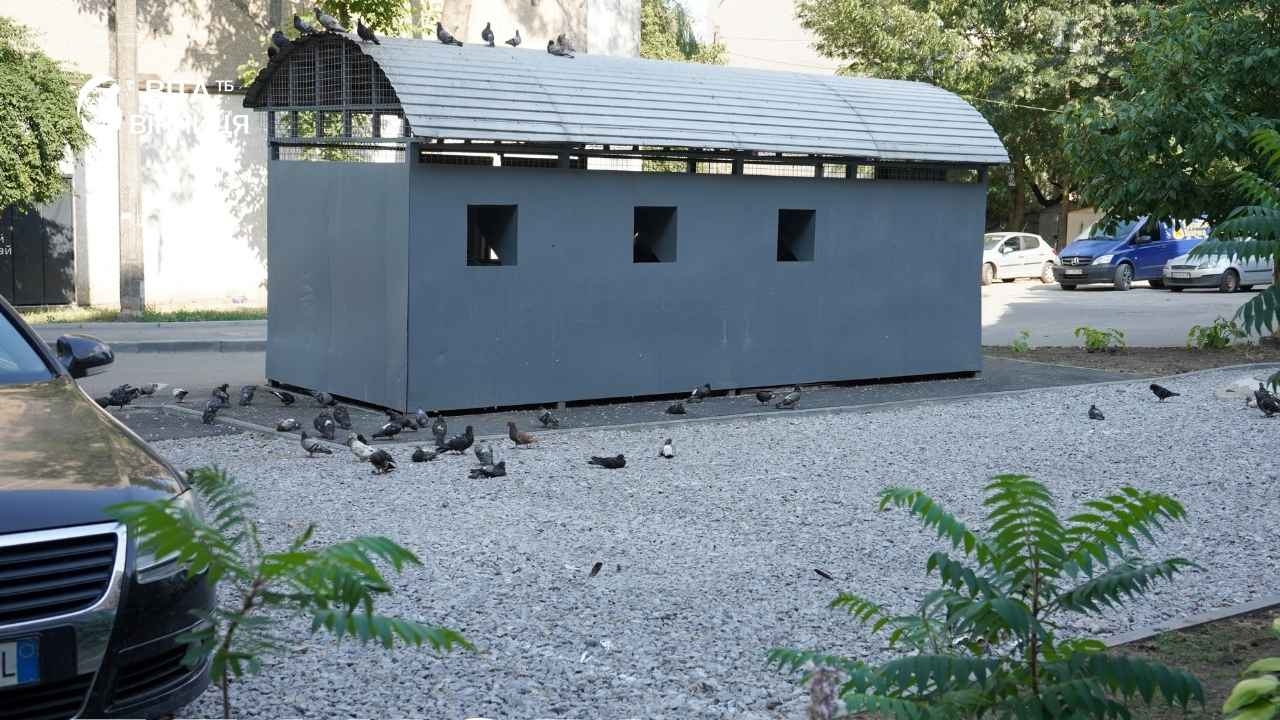 Гранітний щебінь замість асфальту: так у Вінниці облаштовують екопарковки