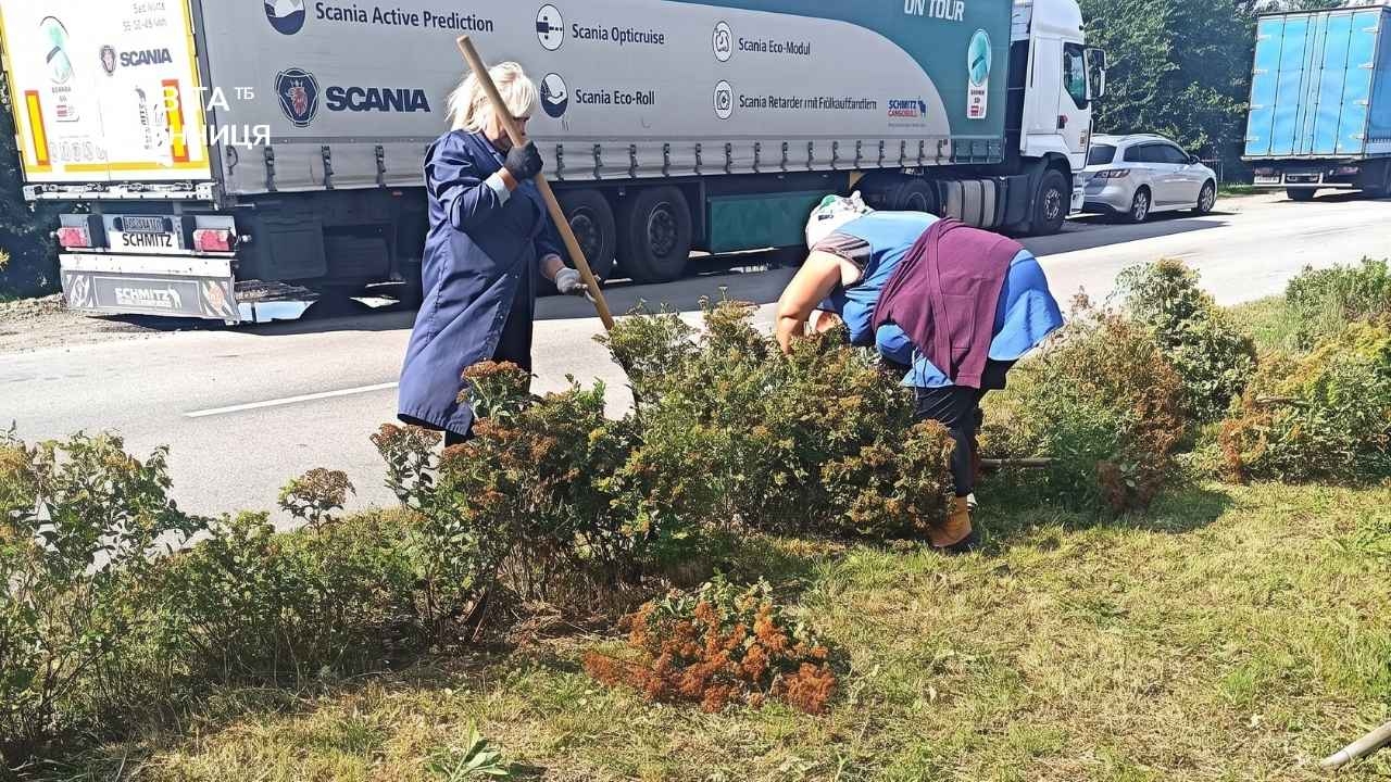 Квіти не витримали кліматичних змін: у селищі під Вінницею довелось оновлювати клумби