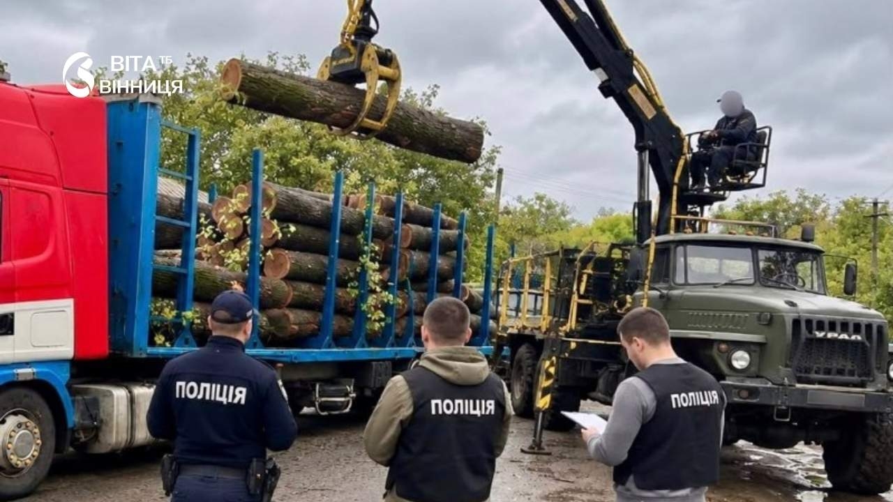 Лісники оглядають зрубані стовбури дубів і ясенів у лісовому масиві на Вінниччині восени