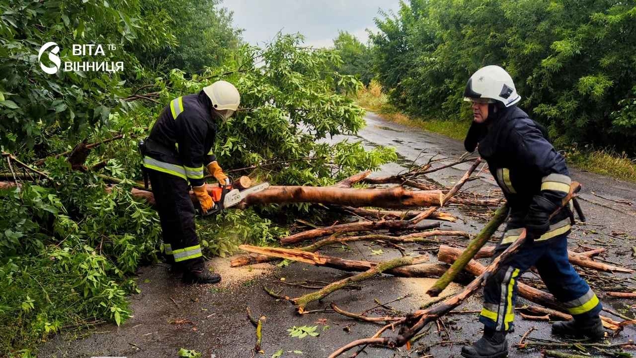 На Вінниччині негода повалила дерева на 11 автошляхах