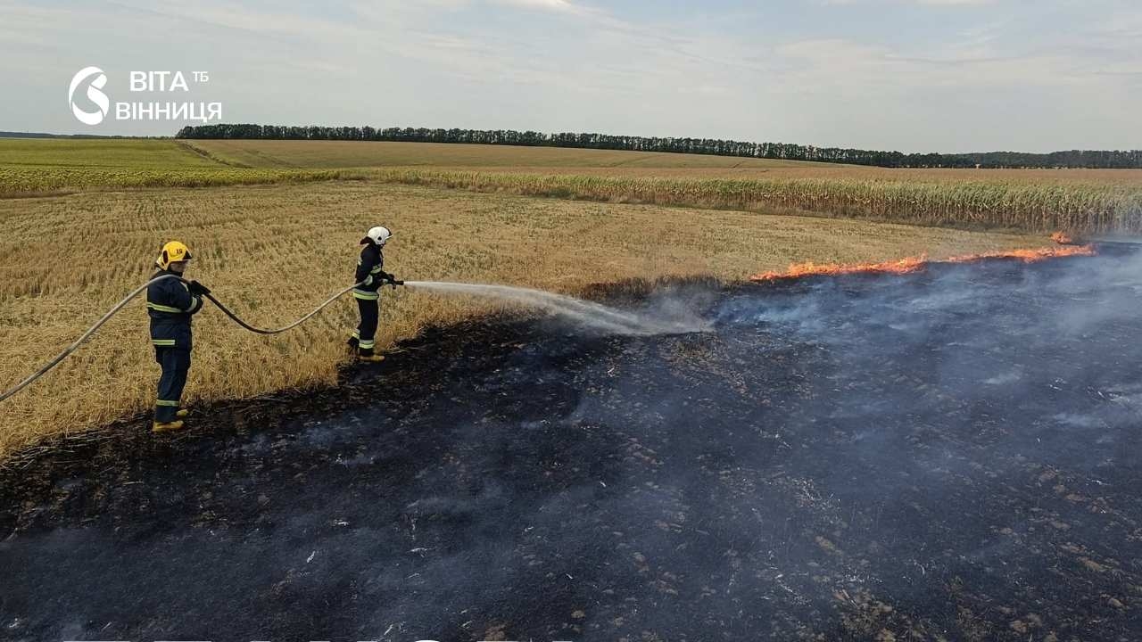 На Вінниччині рятувальники ліквідували 15 пожеж в екосистемах