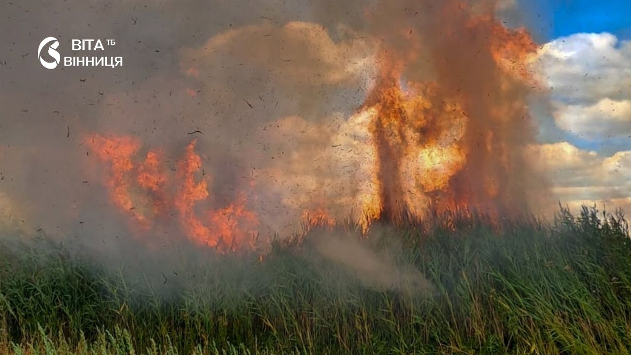 На Вінниччині за добу вигоріло понад дев'ять гектарів сухої стерні