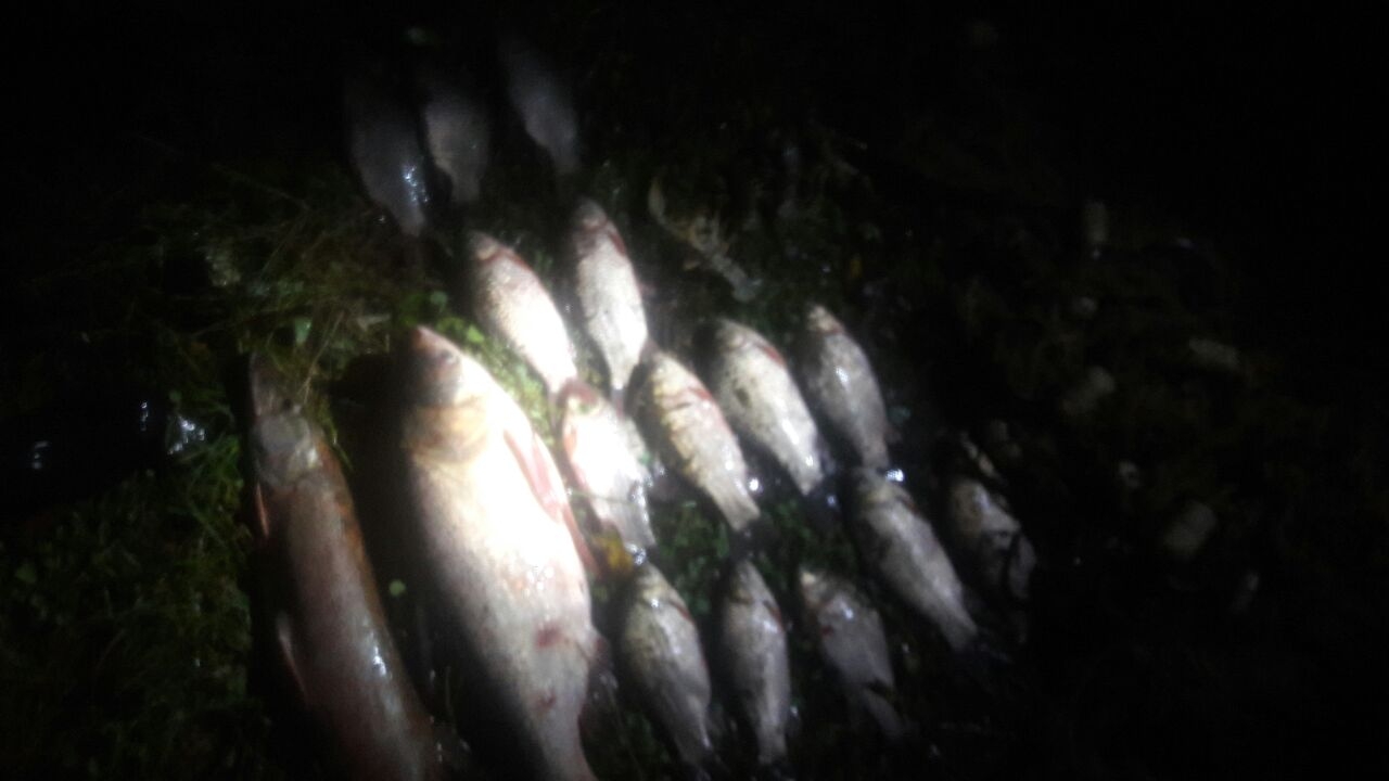 На Жмеринщині браконьєри виловили риби та раків на майже 50 тис. грн