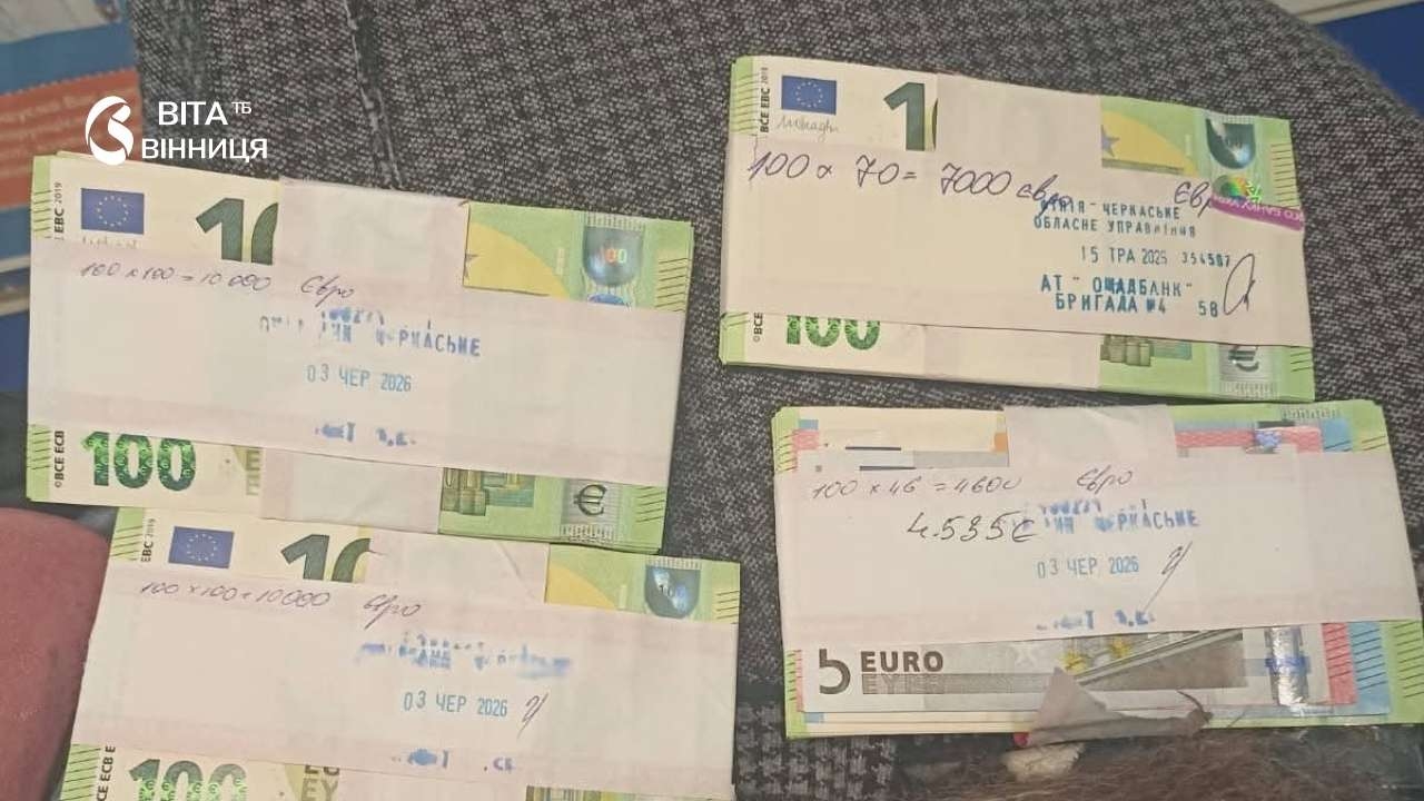 Несла пішки мільйони в Молдову: вінницькі митники зупинили жінку з незадекларованою валютою