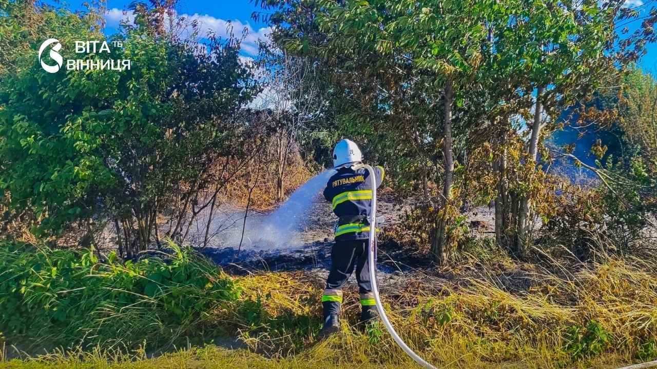 П'ять гектарів вогню: на Вінниччині за добу ліквідували десять пожеж