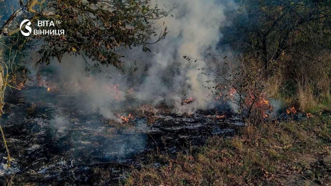П'ять загорянь за добу в чотирьох районах: рятувальники Вінниччини знову гасили відкриті території