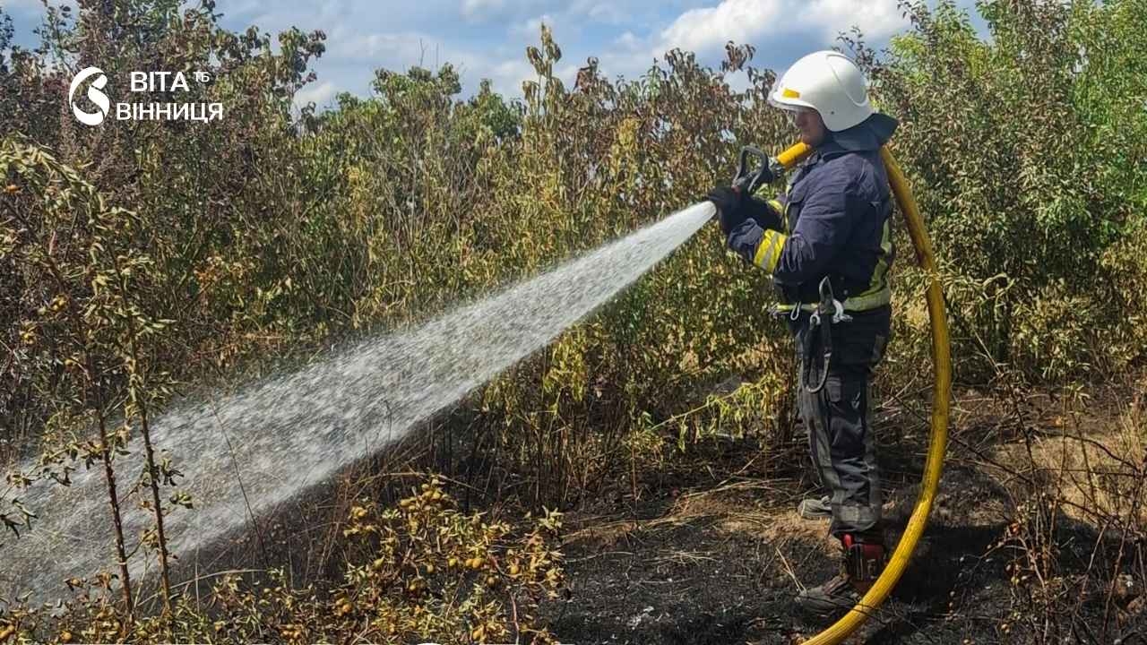Понад 15 гектарів вигоріло на Вінниччині через спалювання стерні