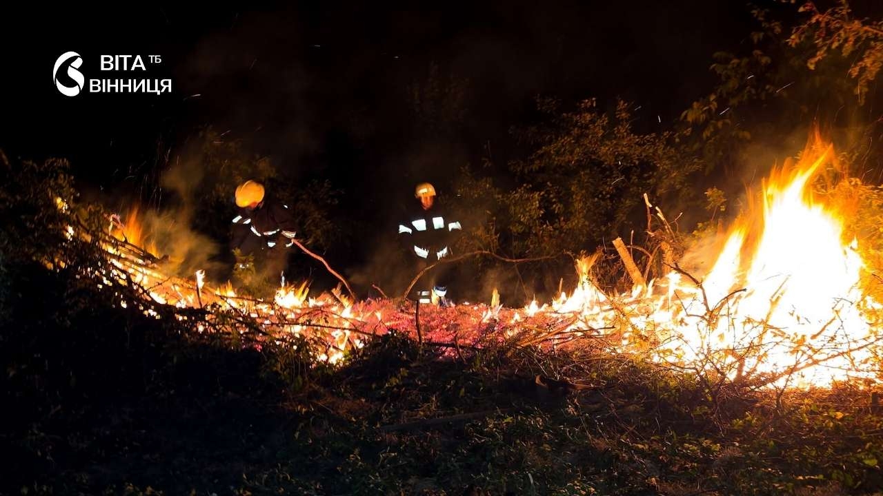 Понад 4 гектари за добу: рятувальники п'ять разів гасили займання в чотирьох районах Вінниччини