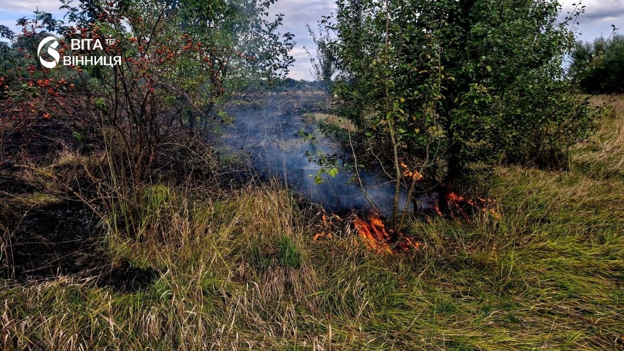 Понад 530 гектарів згорілої землі на Вінниччині: рятувальники знову б'ють на сполох