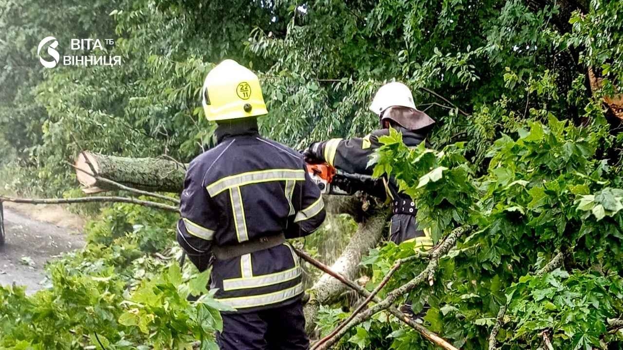 Повалені дерева та пошкоджений дах: на Вінниччині ліквідували наслідки шквального вітру