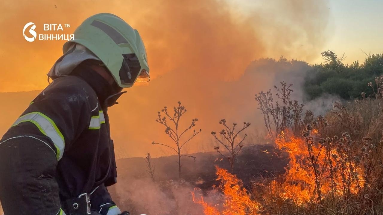 Пожежі в екосистемах охопили п'ять районів та Вінницю за добу