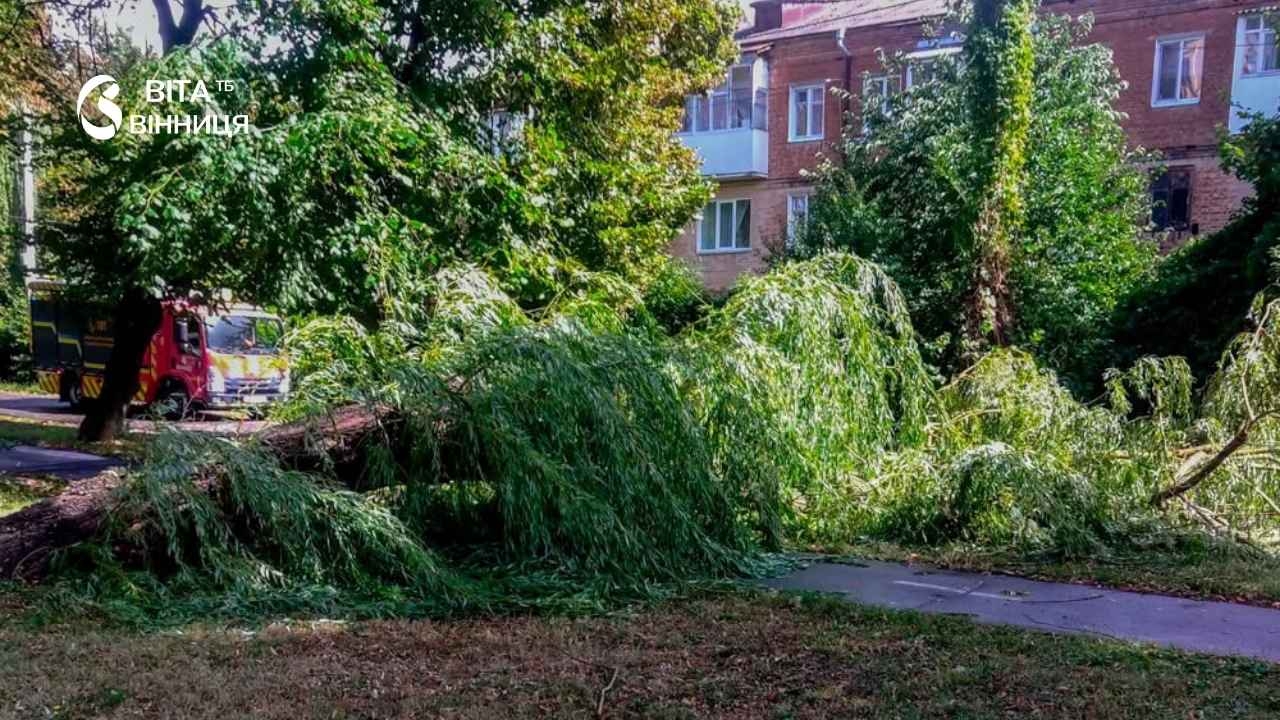 <p><strong>Рятувальники Вінниччини минулої доби шість разів виїжджали розчищати автошляхи від <a href="https://vitatv.com.ua/oblast/vnaslidok-nehody-vpalo-derevo-na" rel="nofollow noopener">дерев</a>, повалених сильними поривами вітру. Такі випадки зафіксували у Вінниці, Вороновицькій та Немирівській громадах.</strong></p> <p>Про це інформує <a href="https://vitatv.com.ua/" rel="noopener">ВІТА ТБ</a> з посиланням на <a href="https://www.facebook.com/dsnsvin/posts/pfbid02WrNiUHzz67nmDrGgEFkZgk8NMJ3fgLKYNJf21ffAUtnpxd44t5TVo1BDoLyp9PT2l" rel="nofollow noopener">Головне управління ДСНС України у Вінницькій області</a>.</p> <blockquote>Під час сильного вітру не паркуйте автомобілі під деревами та поблизу конструкцій, які можуть бути пошкоджені. Якщо негода застала вас у дорозі — за можливості зупиніться у безпечному місці та перечекайте її, — застерігають у <a href="https://vitatv.com.ua/oblast/povaleni-dereva-ta-zatopleni-dvory-nehoda" rel="nofollow noopener">ДСНС</a>.</blockquote> <p>У разі <a href="https://vitatv.com.ua/nehoda" rel="nofollow noopener">небезпеки</a> необхідно негайно телефонувати на номер 101.</p>
