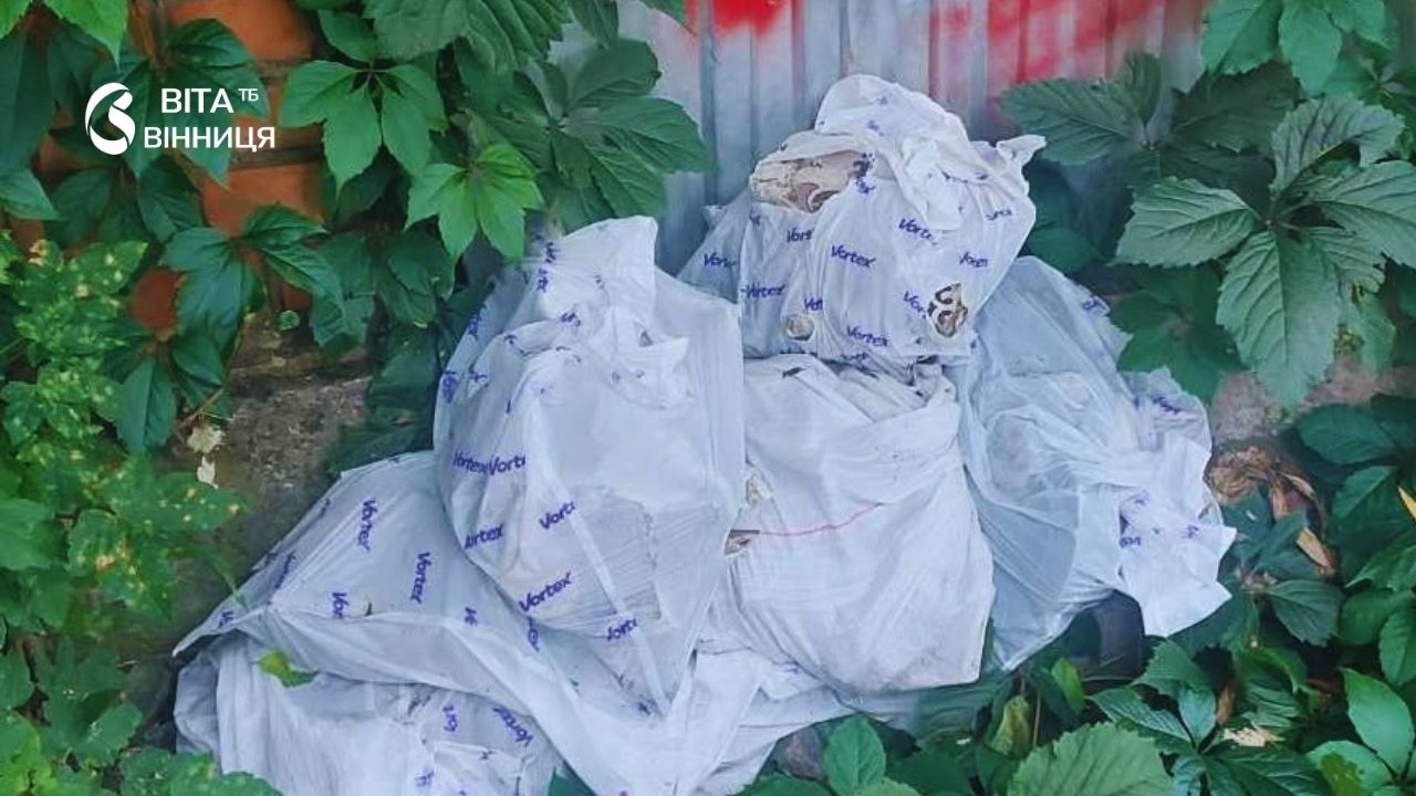 Стара цегла чи ліпнина? Бюро спадщини Вінниці просить таке не викидати