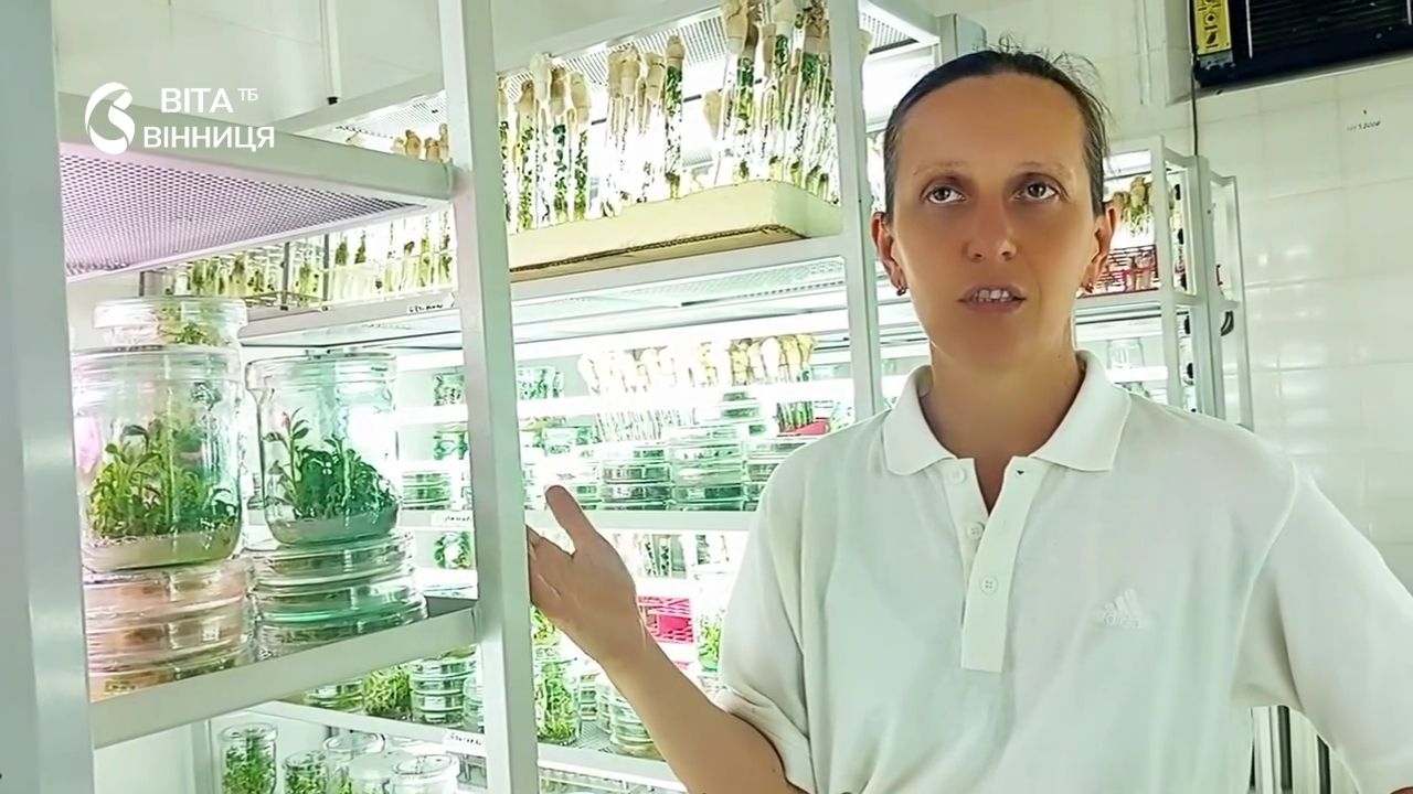 Світовий науковий прорив: у Вінницькій області вперше вирощують орхідею-довгожительку