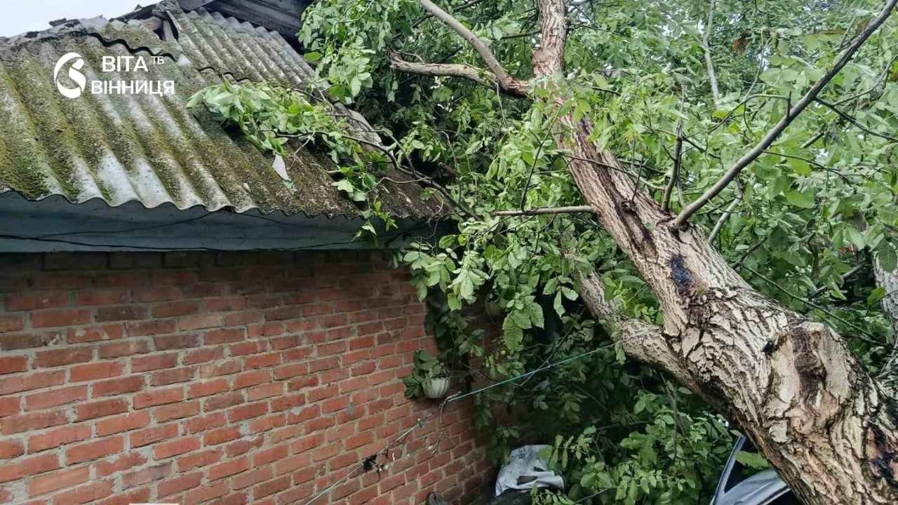 У Хмільницькій громаді дерево впало на авто під час зливи