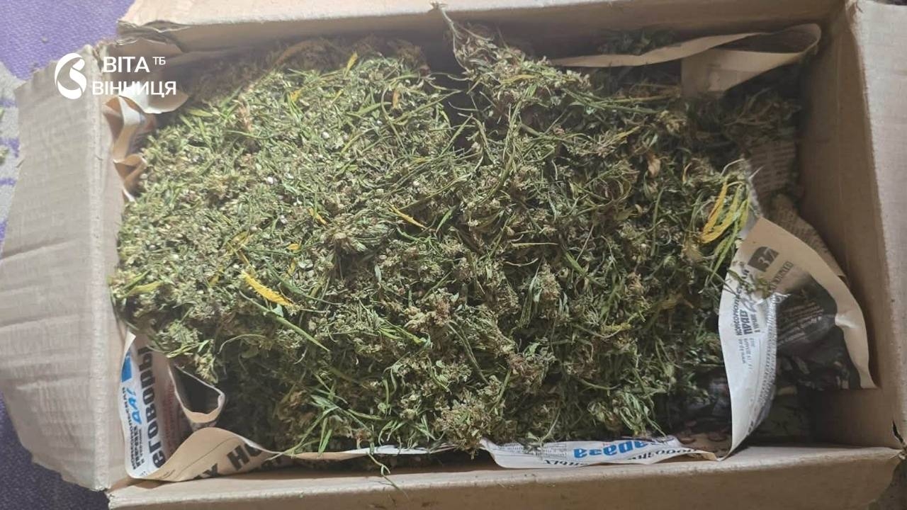 У Хмільницькому районі під домашній арешт відправили чоловіка, який у горщиках вирощував коноплі