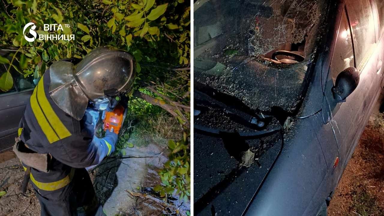 У Вінниці дерево впало на припарковане авто через сильний вітер