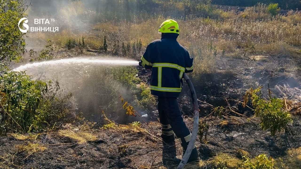 За добу на Вінниччині вогонь охопив понад 8 гектарів екосистем