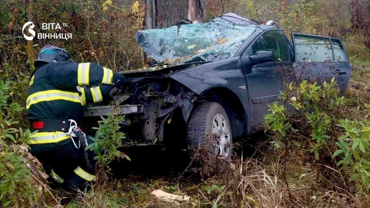 Загинули водій і 16-річний пасажир: на Вінниччині легковик врізався в дерево