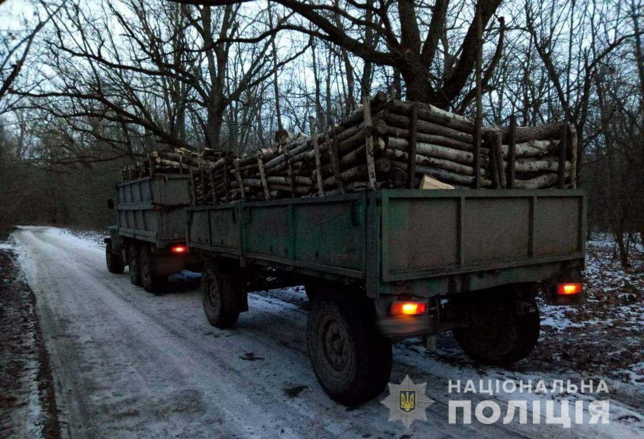 Водії вантажівок не змогли пояснити копам, звідки в причепах взялась деревина