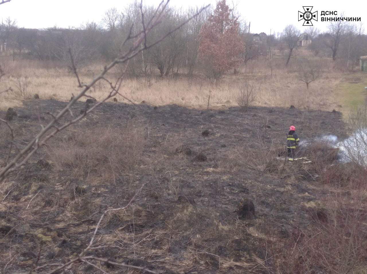 Під час пожеж в екосистемах на Вінниччині згоріло два гектари сухої трави