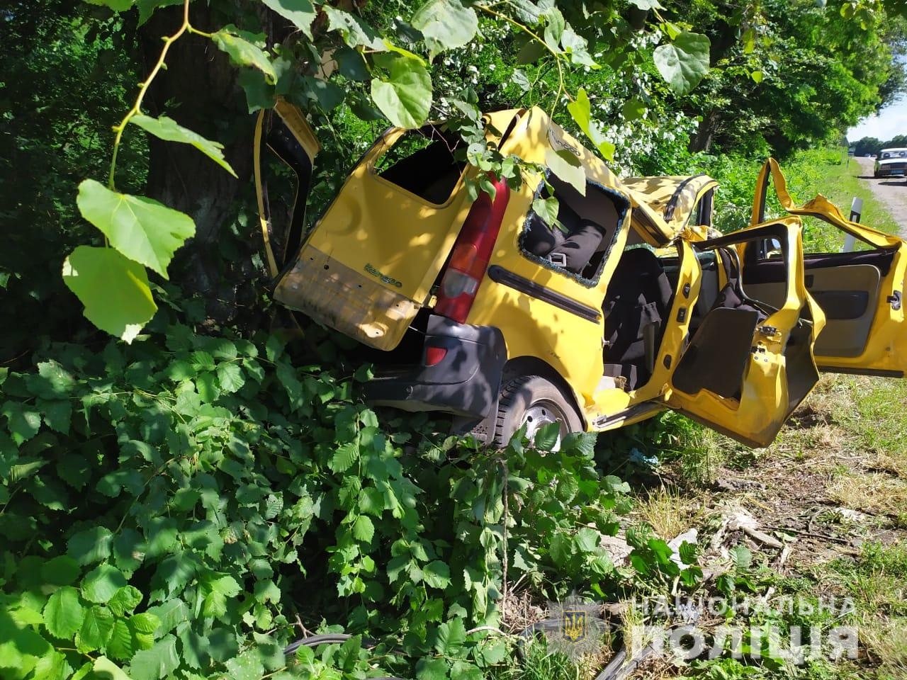 Неподалік Никифорівців водій Renault Kangoo протаранив дерево: четверо людей у реанімації
