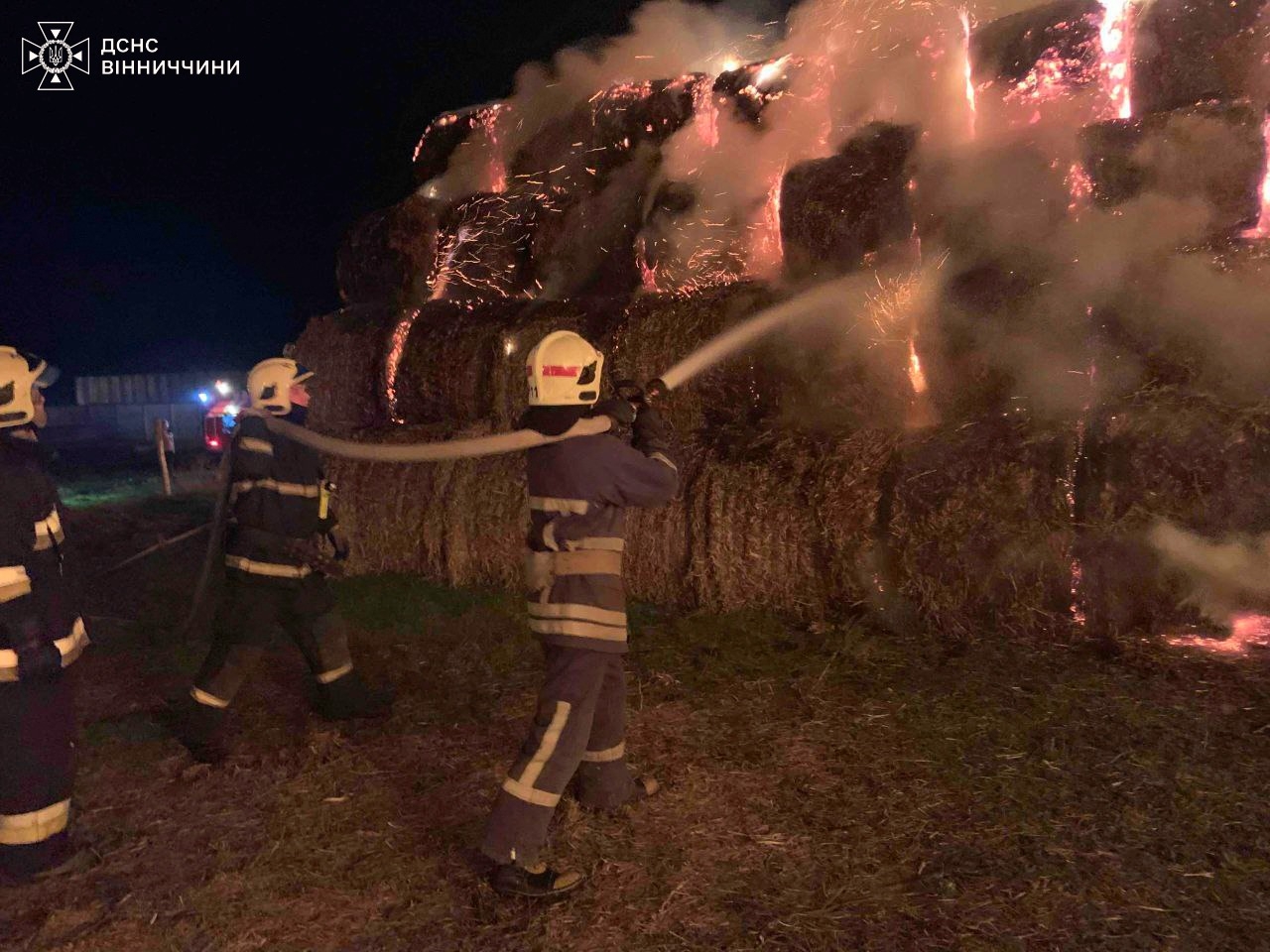 За добу, 23 березня, на Вінниччині сталося 12 пожеж в екосистемах