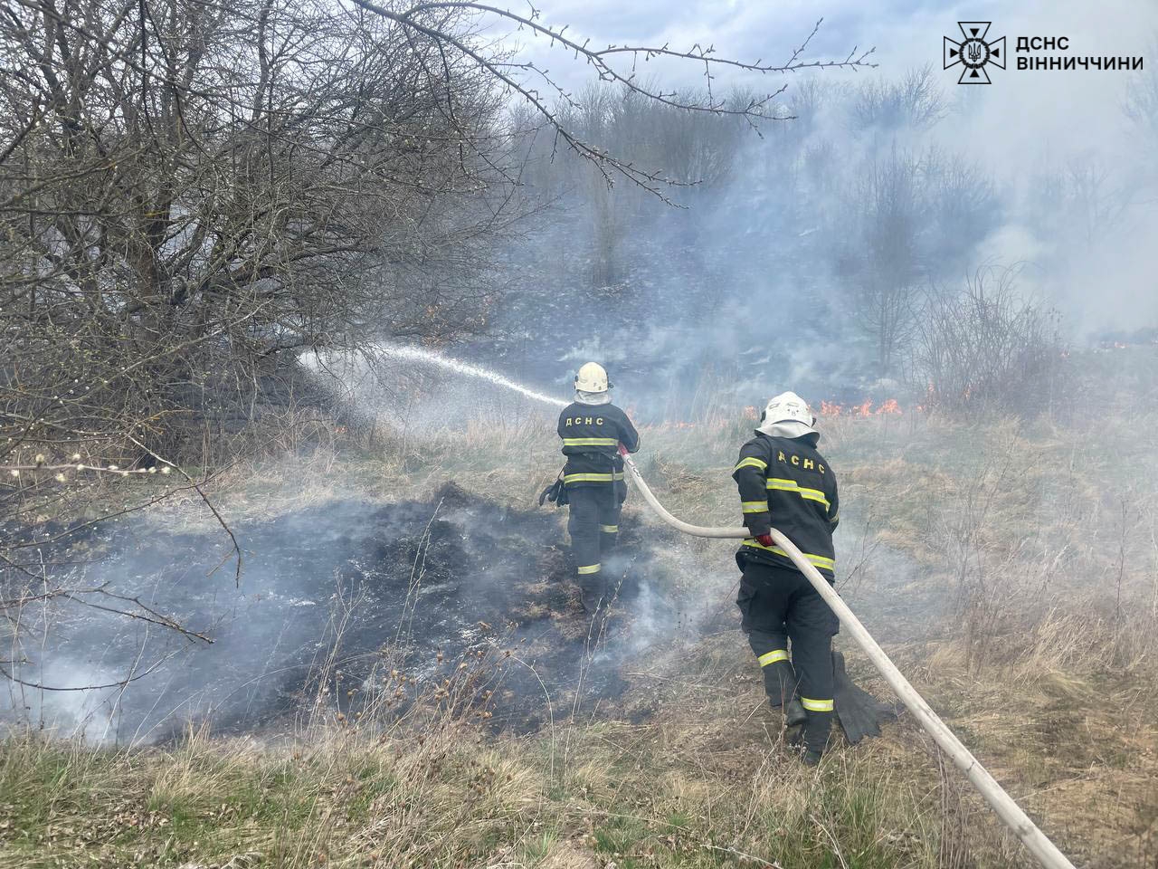 На Вінниччині за добу сталося 18 пожеж через паління сухої трави