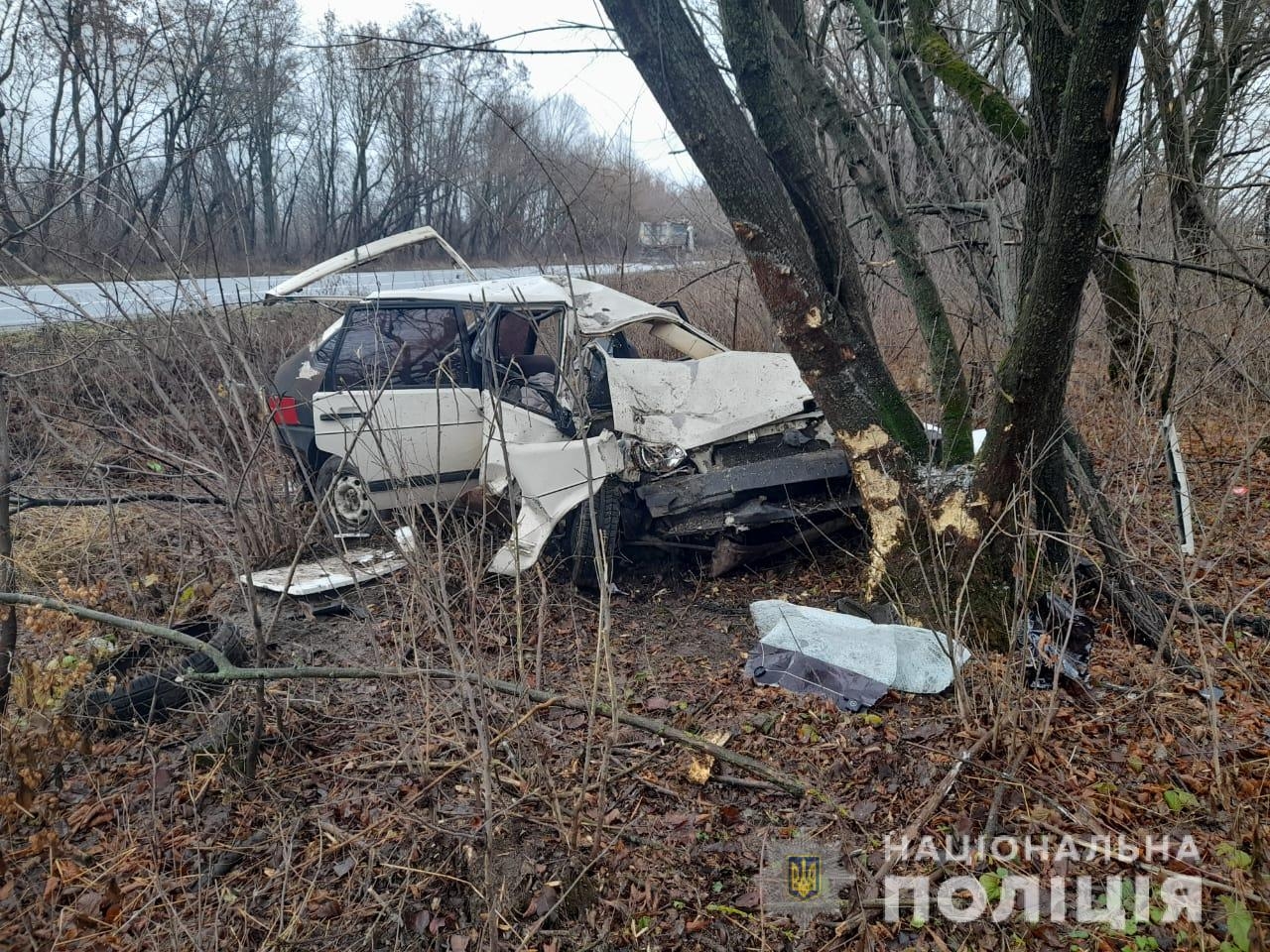 Аварія під Вінницею авто врізалось в дерево