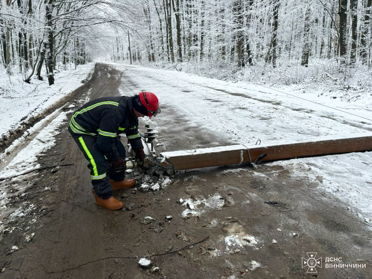 Автошлях у Стрижавській громаді перегородило повалене дерево та стовп