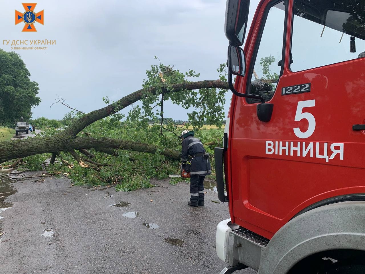 На автодорогу поблизу села Гавришівка Вінницького району впало дерево