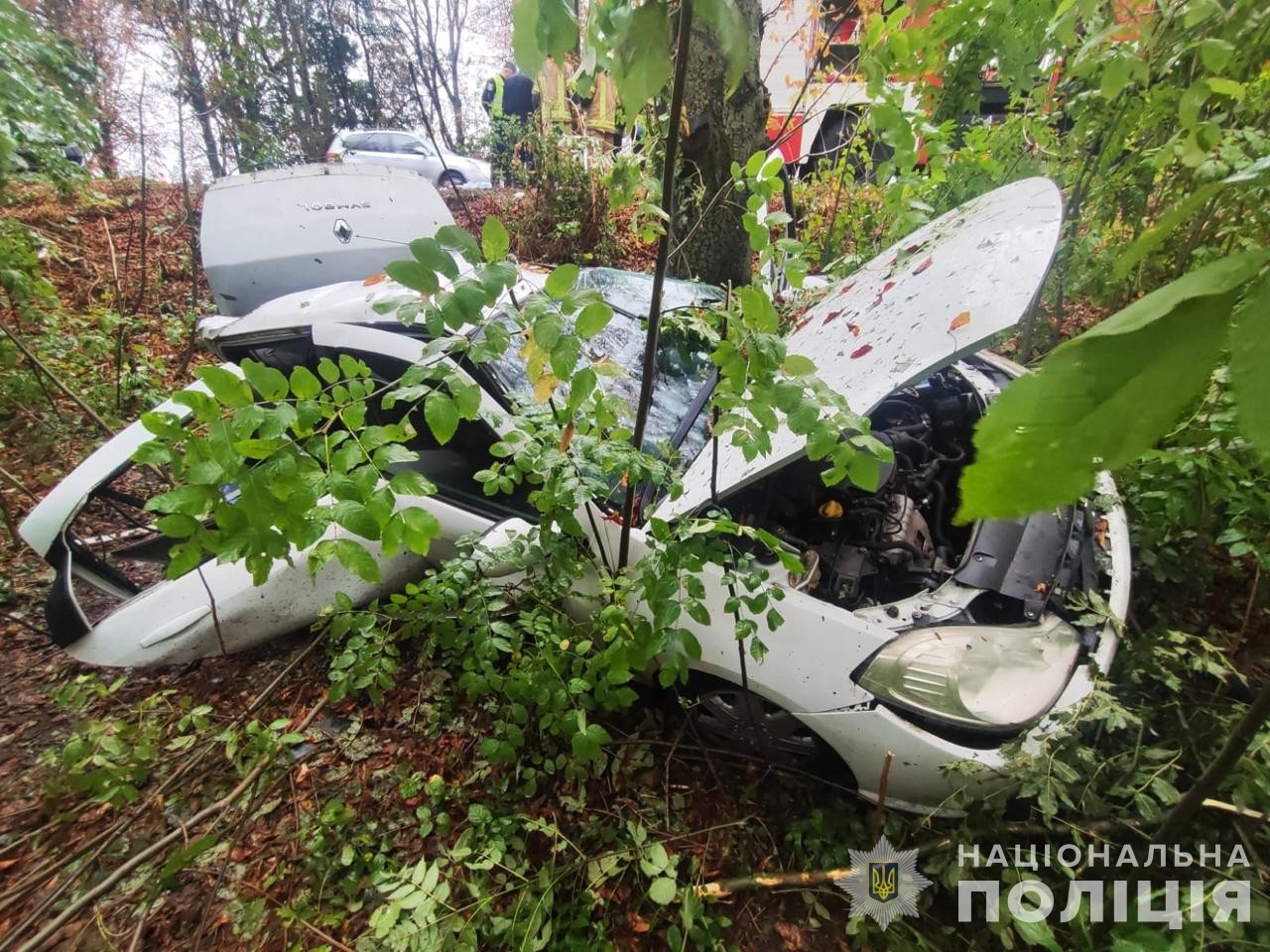 У Гайсинському районі Renault злетів з дороги у кювет - загинула 15-річна пасажирка