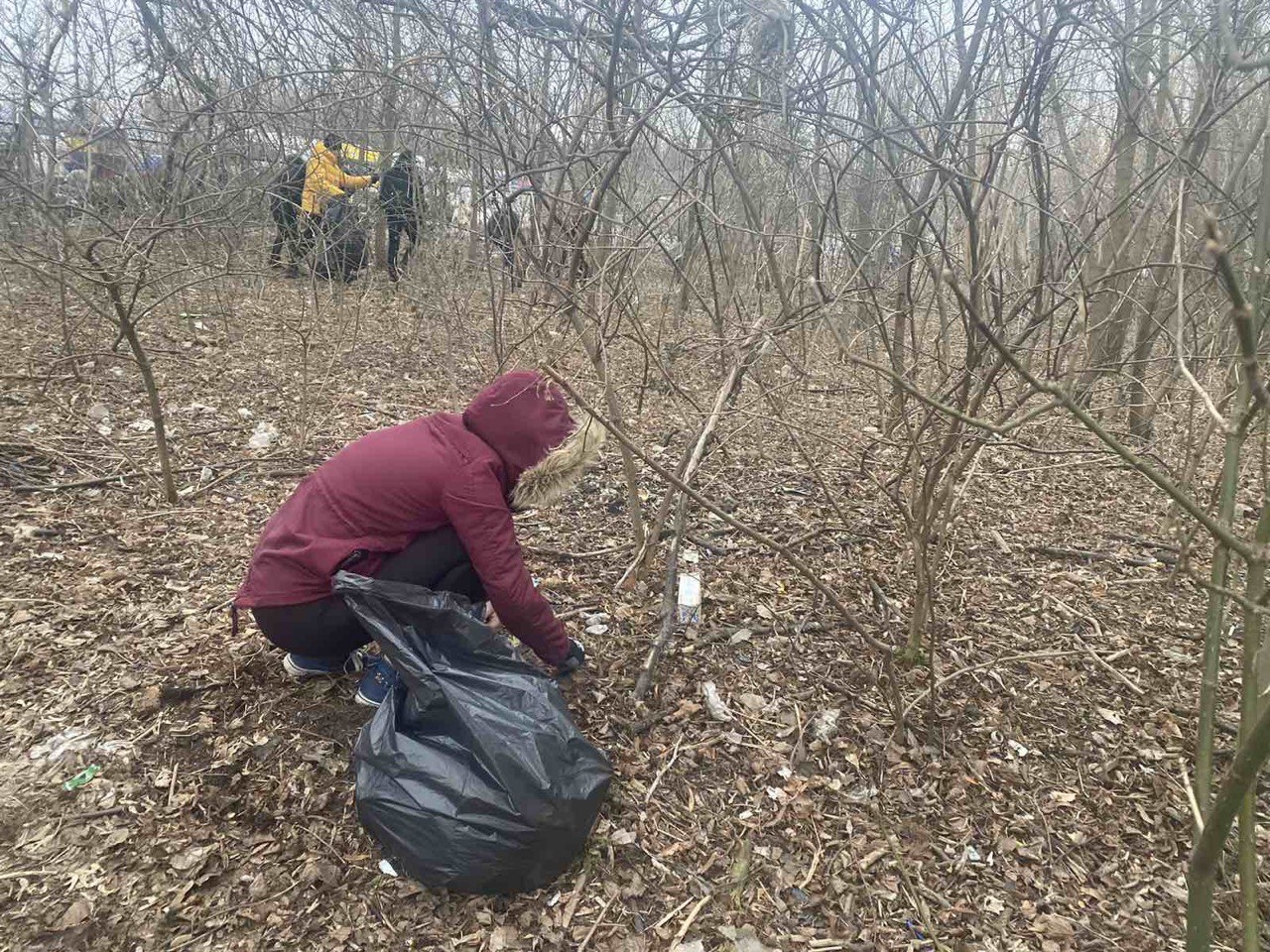 У Вінниці провели акцію задля чистого довкілля - зібрали понад 70 мішків сміття