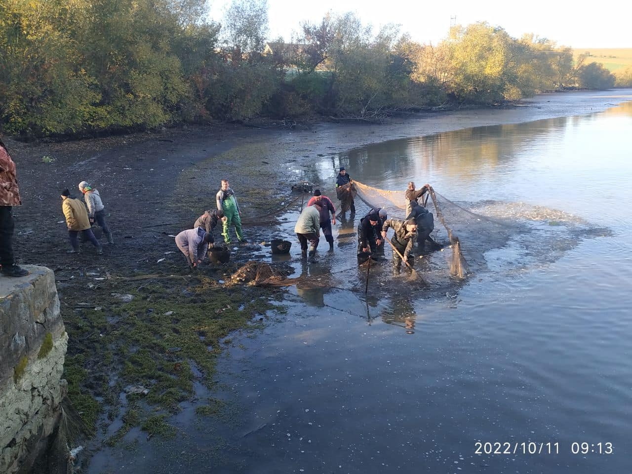 В Ладижинське водосховище випустили вісім тонн товстолоба та білого амура