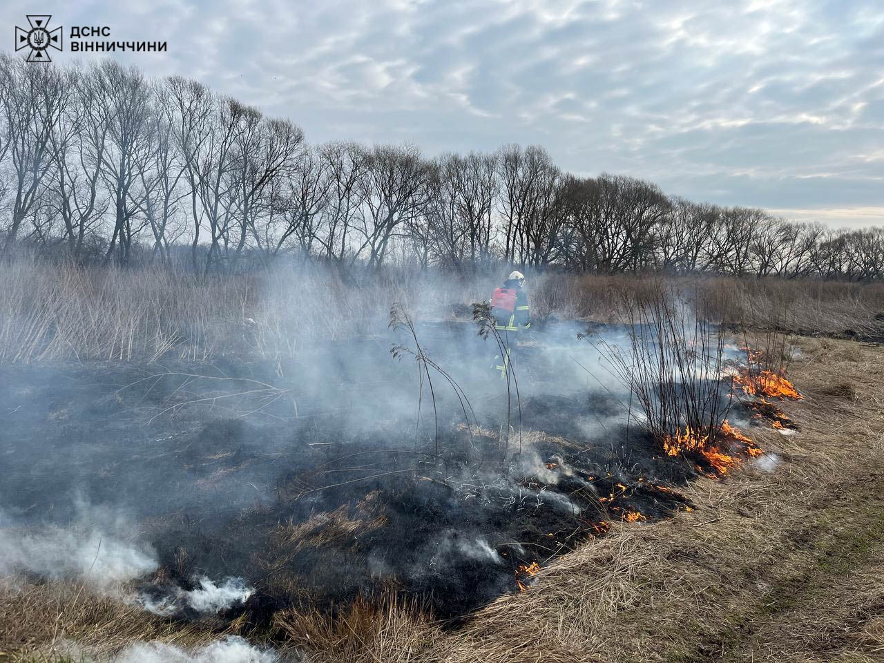 Від ранку рятувальники Вінниччини тричі гасили загоряння сухої рослинності