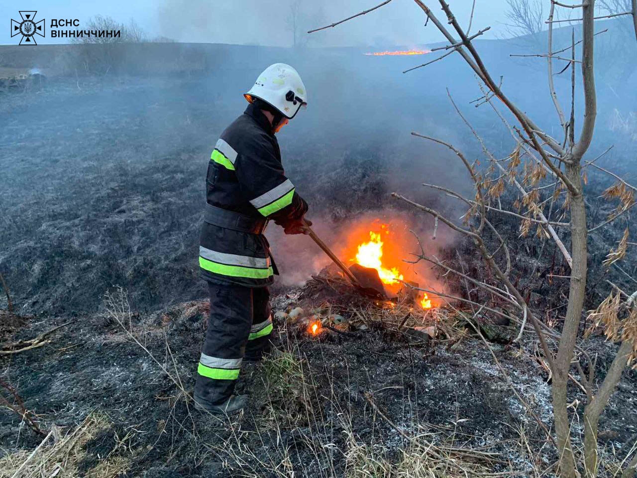 За добу на Вінниччині сталося 17 загорянь сухої рослинності