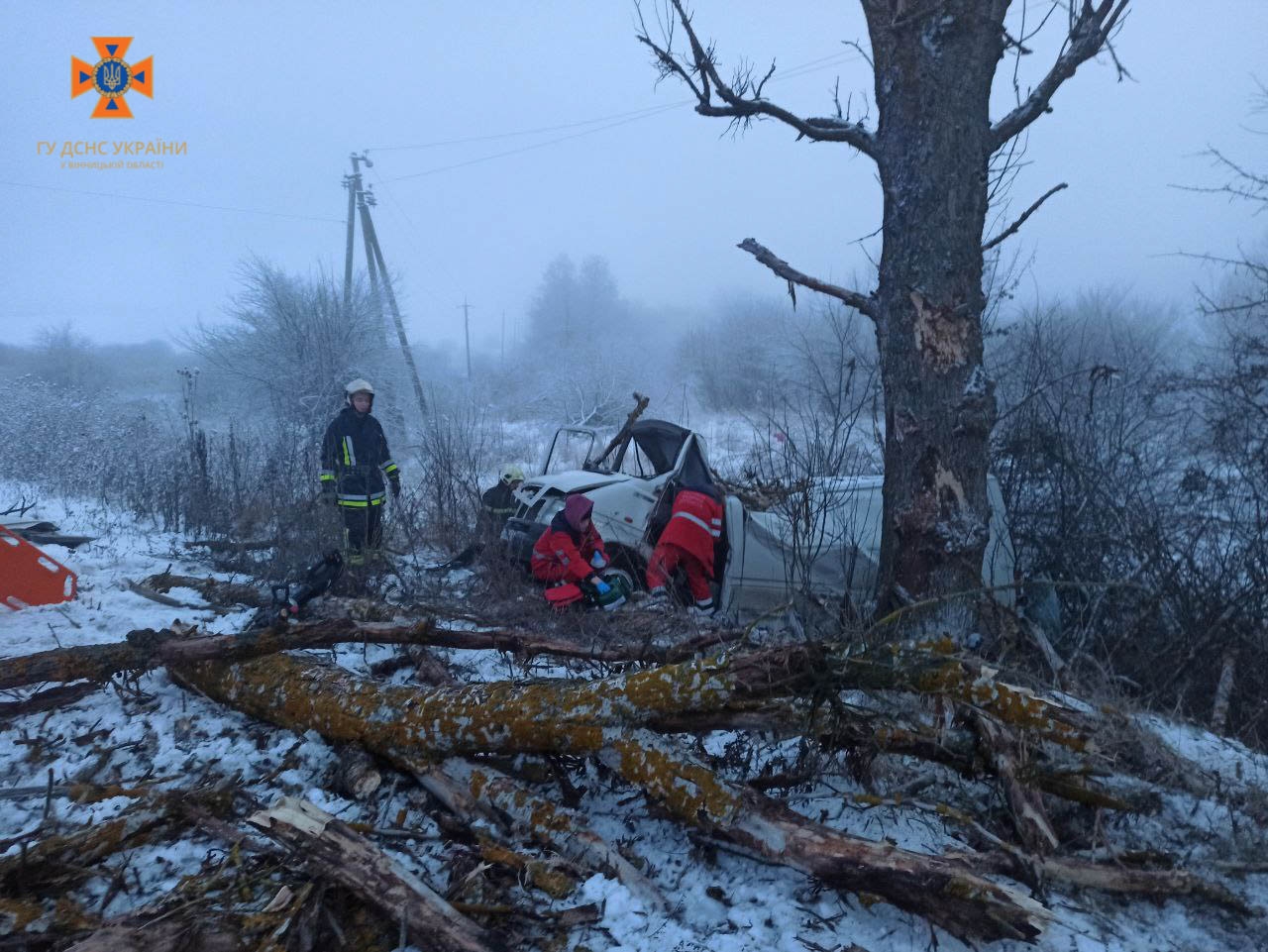 На Вінниччині «Фольксваген» злетів з дороги - дві людини загинули