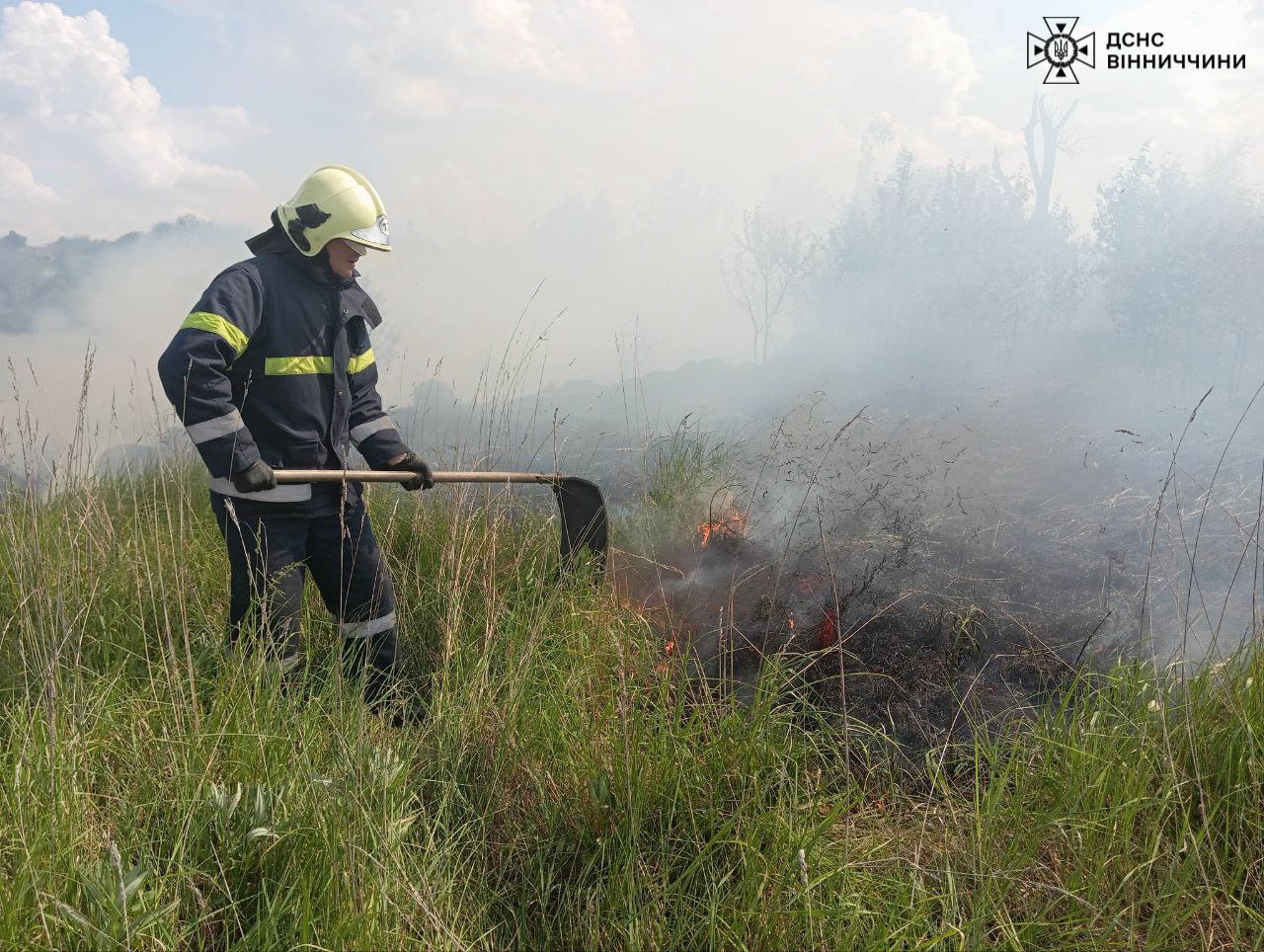 На Вінниччині за добу сталося дев'ять пожеж в екосистемах