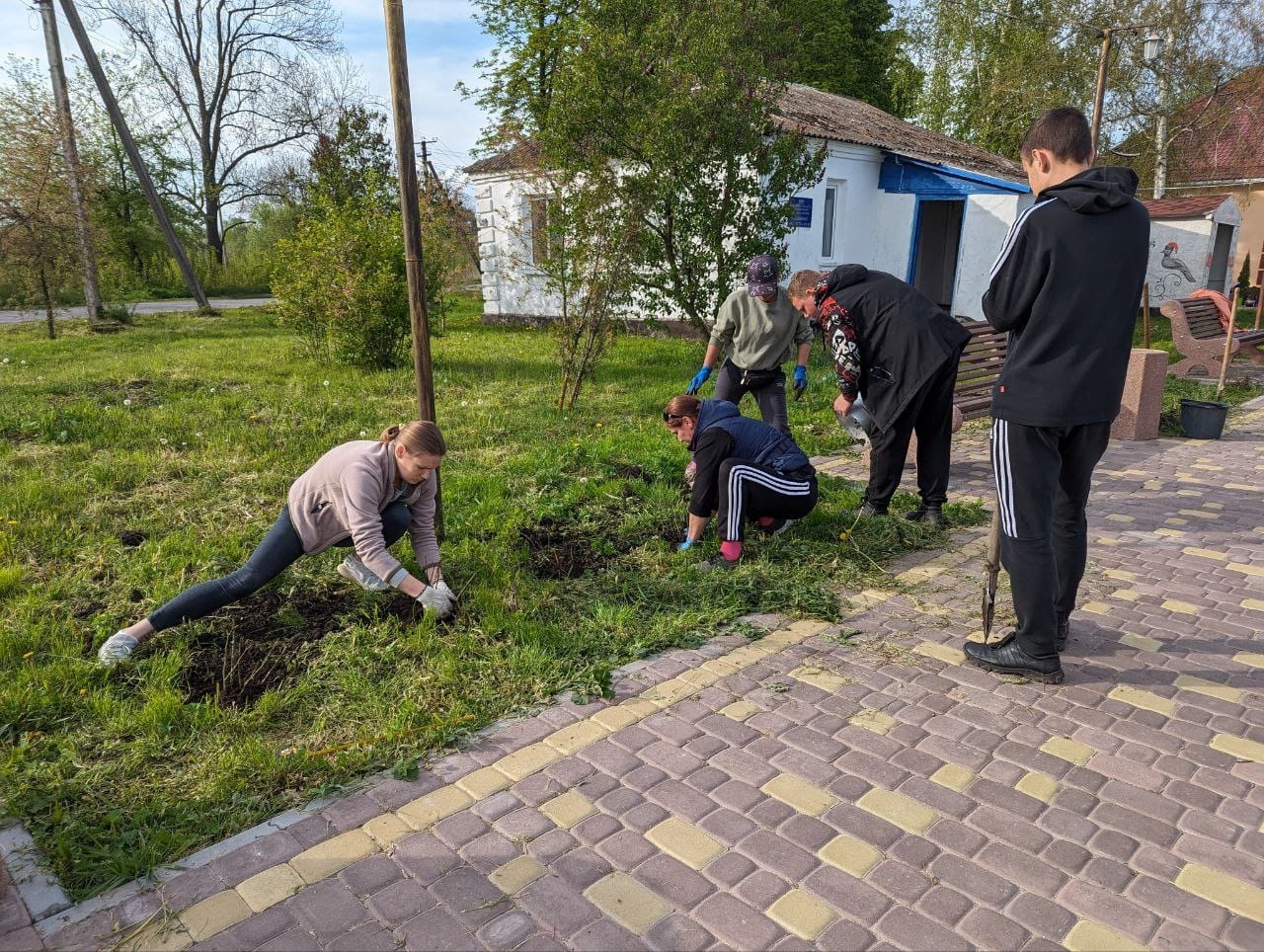 У Сальнику висадили трояндову Алею слави полеглим Героям