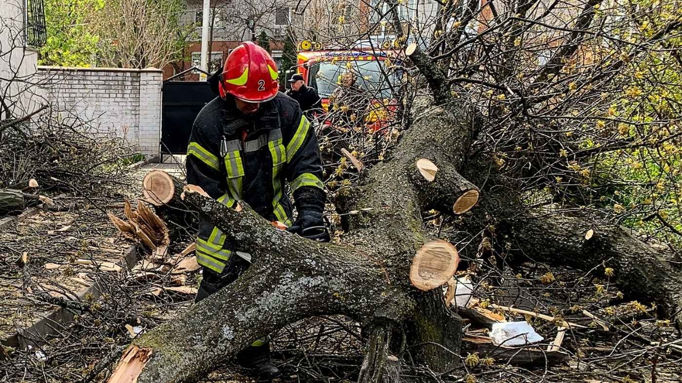 «Деревопад» на Вінниччині: потрощені машини, заблоковані траси та госпіталізація 24-річного чоловіка