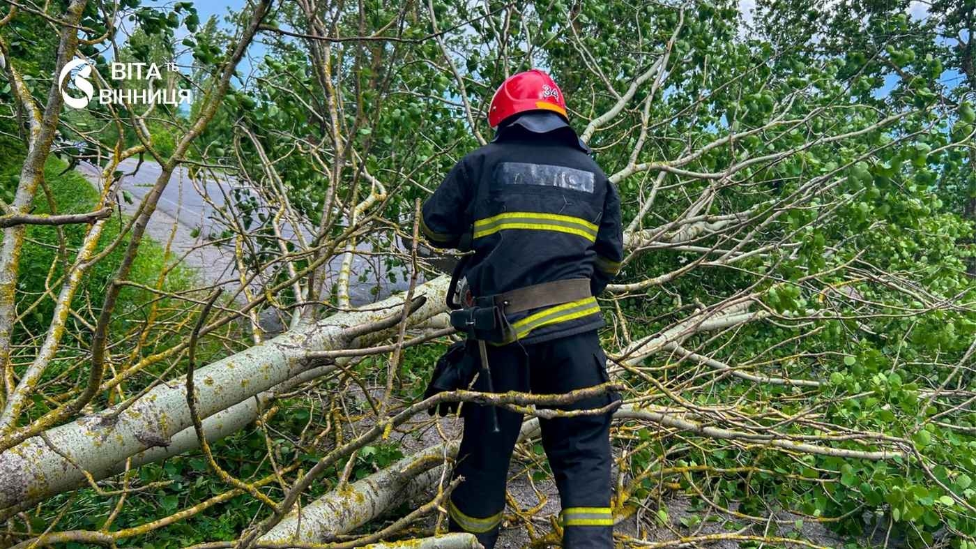 Будьте обережні в дорозі: наслідки вітряної негоди у трьох громадах Вінниччини