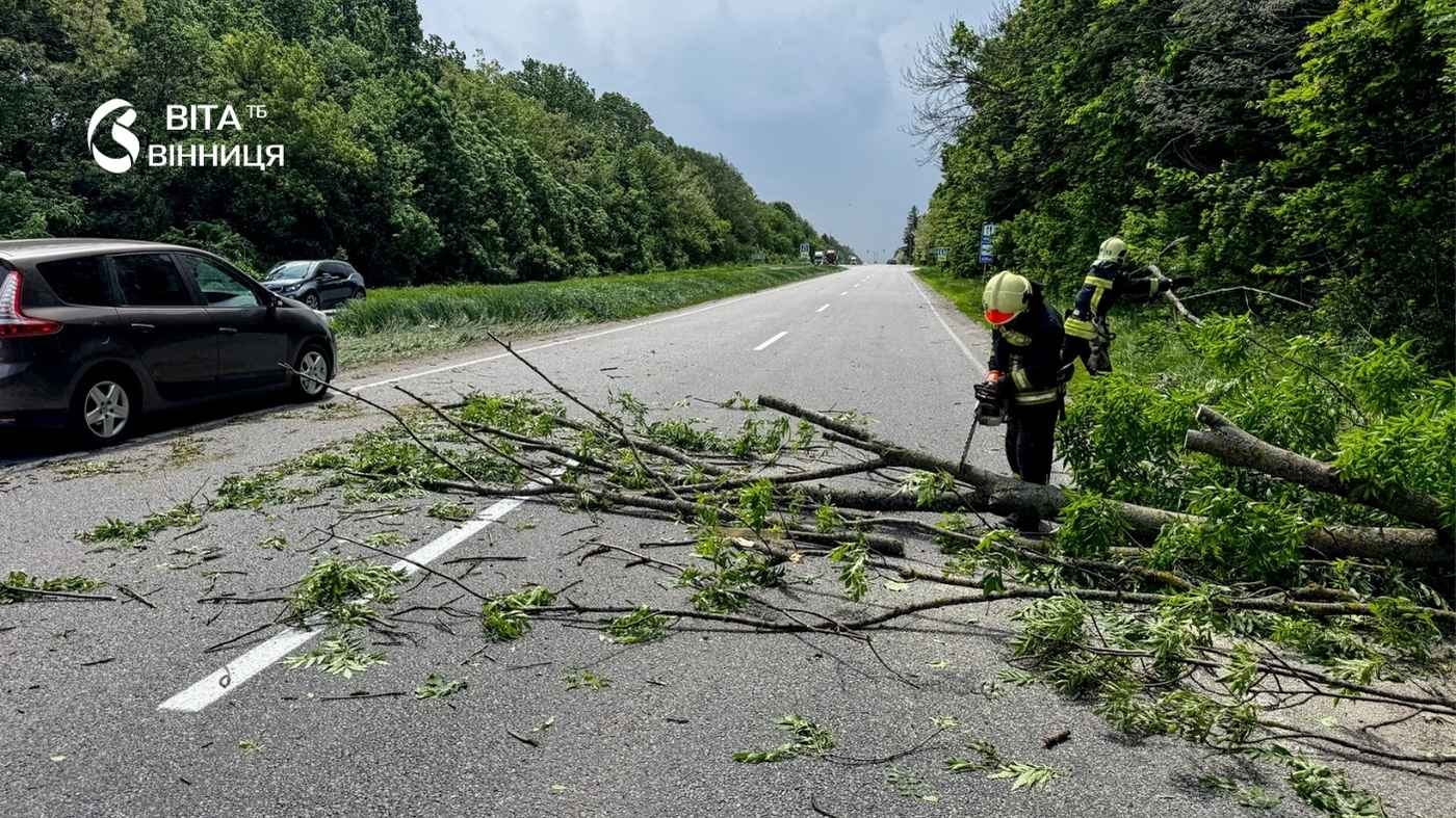 Буревій на Вінниччині: десятки повалених дерев та заблоковані траси