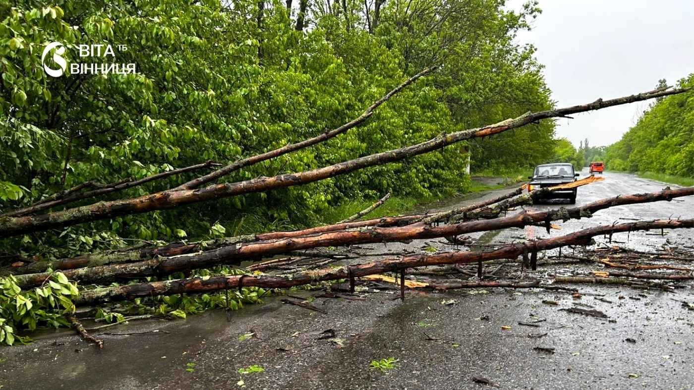 Дерева падали прямо на дорогу: наслідки негоди у двох районах Вінницької області