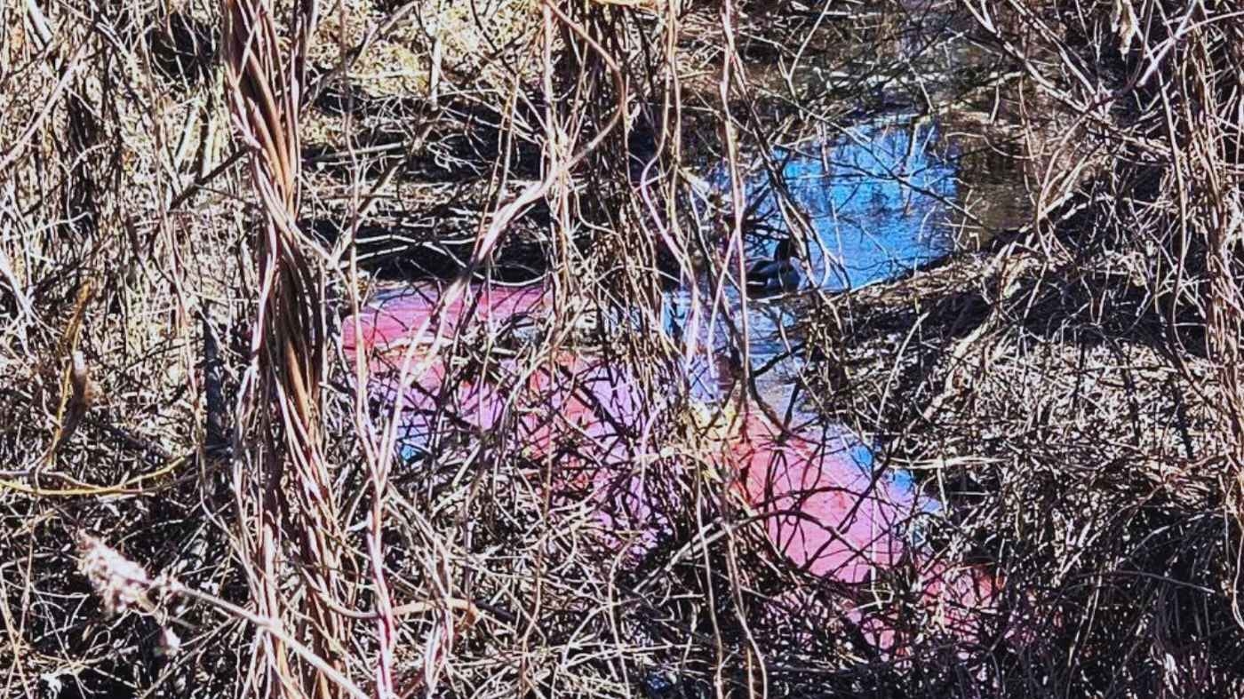 Хто та чому залив кров'ю одну з малих річок Вінниці